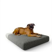 large dog sitting on memory foam dog bed with removable cover