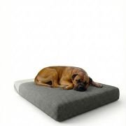 senior dog sitting on memory foam dog bed with removable cover