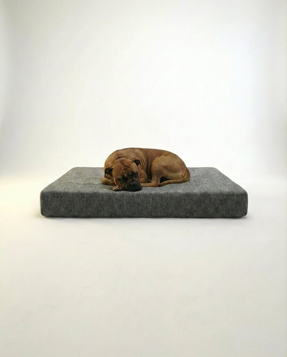 large breed dog resting comfortably on memory foam orthopedic dog bed