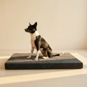 Orthopedic Dog Bed Cover