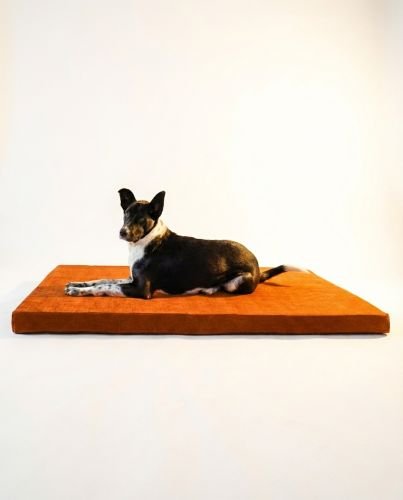 Orthopedic Dog Bed