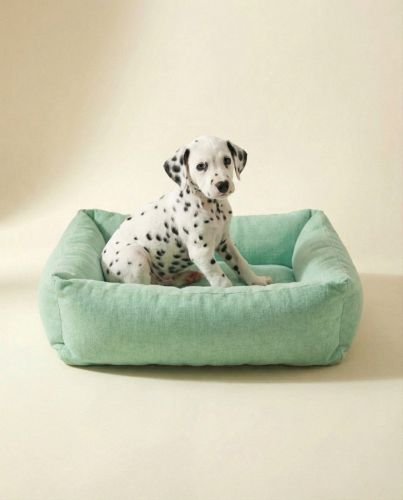 Bolster Dog Bed