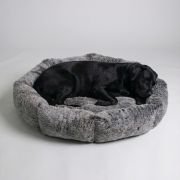 labrador sleeping on the fur bolster dog bed