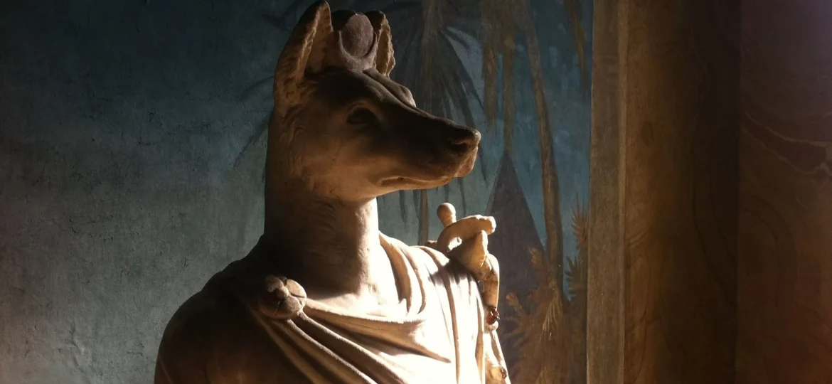 anubis-239536 (1)