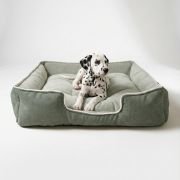 puppy resting in XS lounger dog bed with dual color design grey