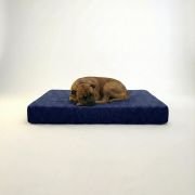 Large dog resting on memory foam orthopedic dog bed