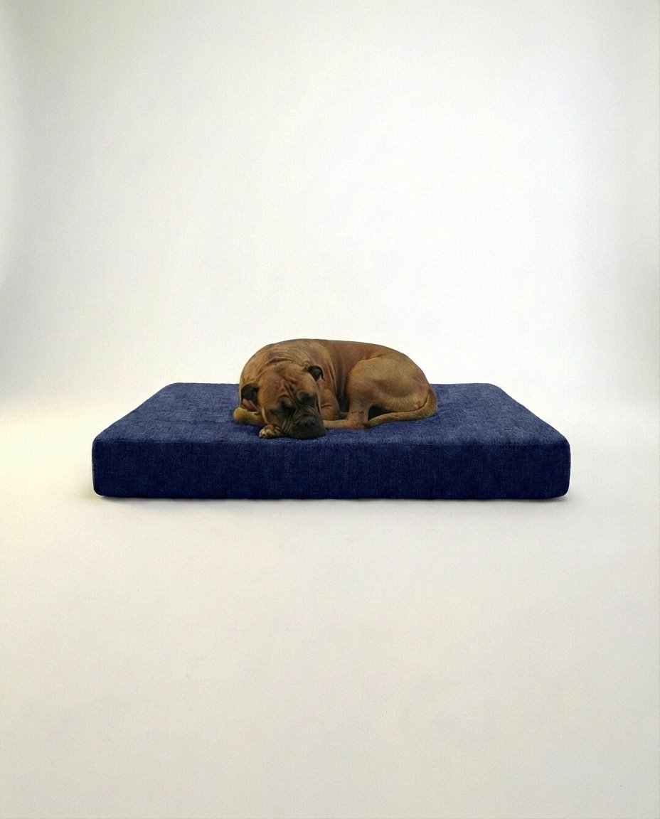 Large dog resting on memory foam orthopedic dog bed