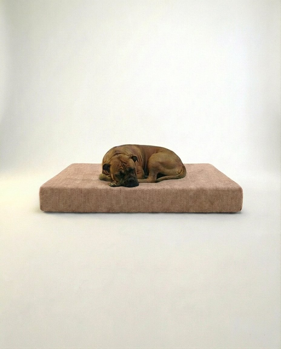Large dog resting on memory foam orthopedic dog bed