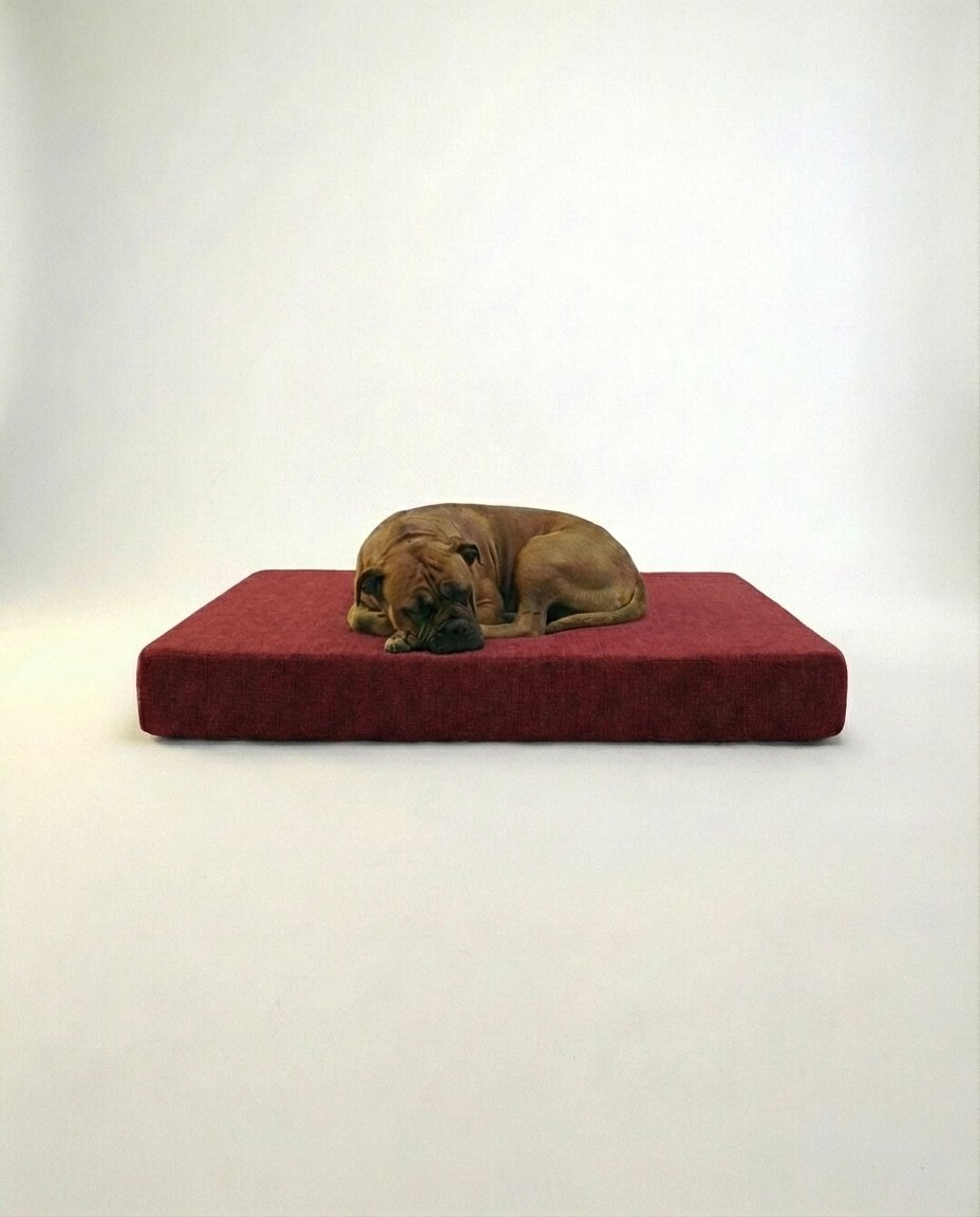 Large dog resting on memory foam orthopedic dog bed