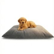 golden retriever sitting on a waterproof dog bed with removable cover