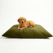 puppy on a waterproof dog bed with removable cover