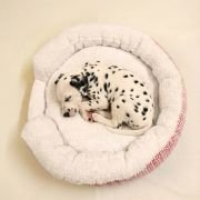 puppy resting in XS block print dog bed with removable pillow