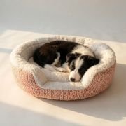 Blossom Buddy Bolster Dog Bed