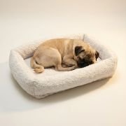 dog resting on small crate mat