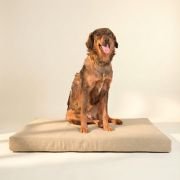 machine washable classic orthopedic bed cover for senior dogs