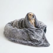 dog wrapped in cozy fur blanket like a burrito