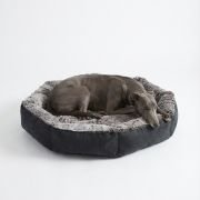 greyhound lying on fur dog bed